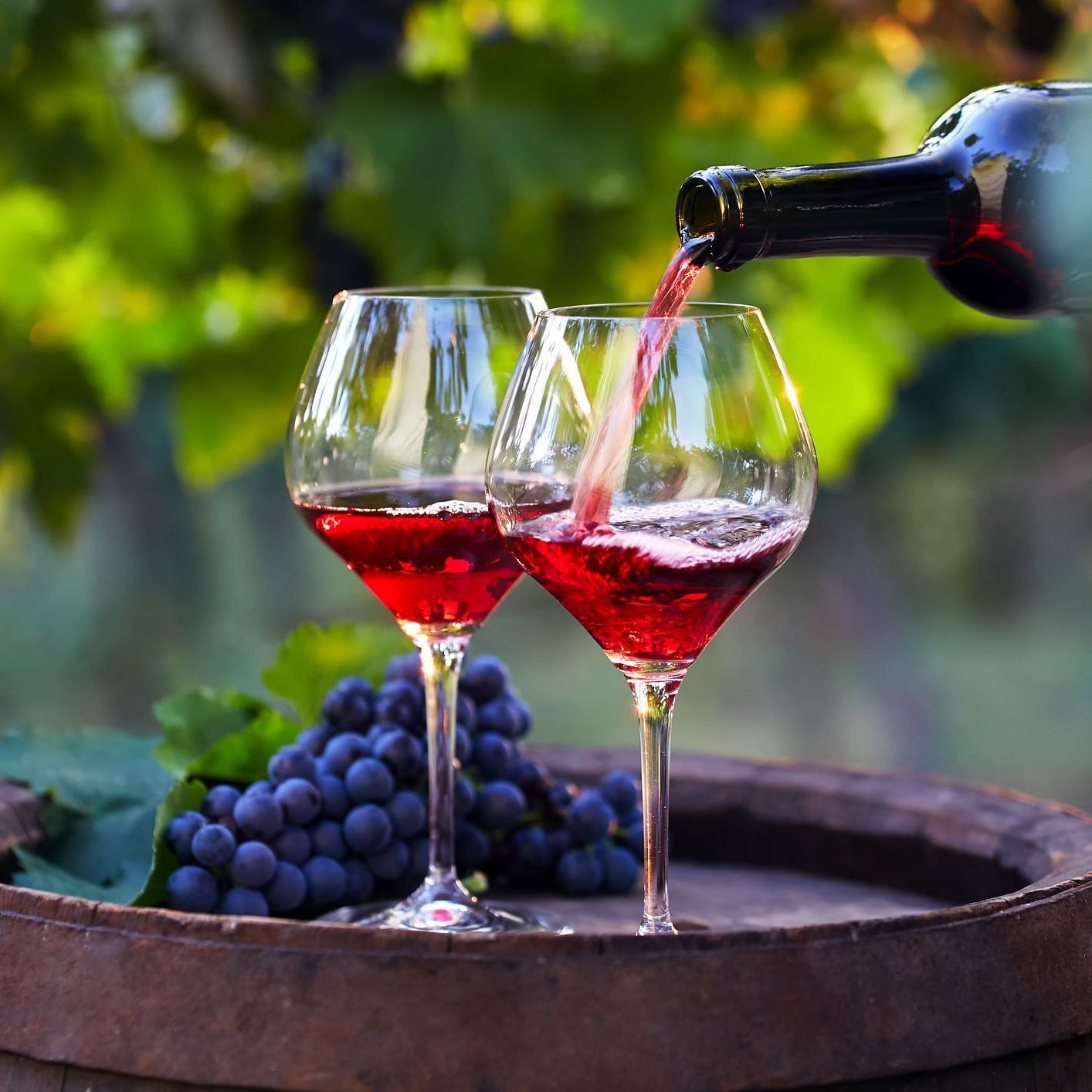 A picture of wine poured in to the wine glasses - Evergreen County