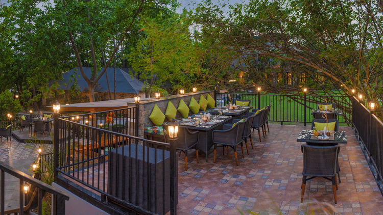 jungle grill- The Golden tusk