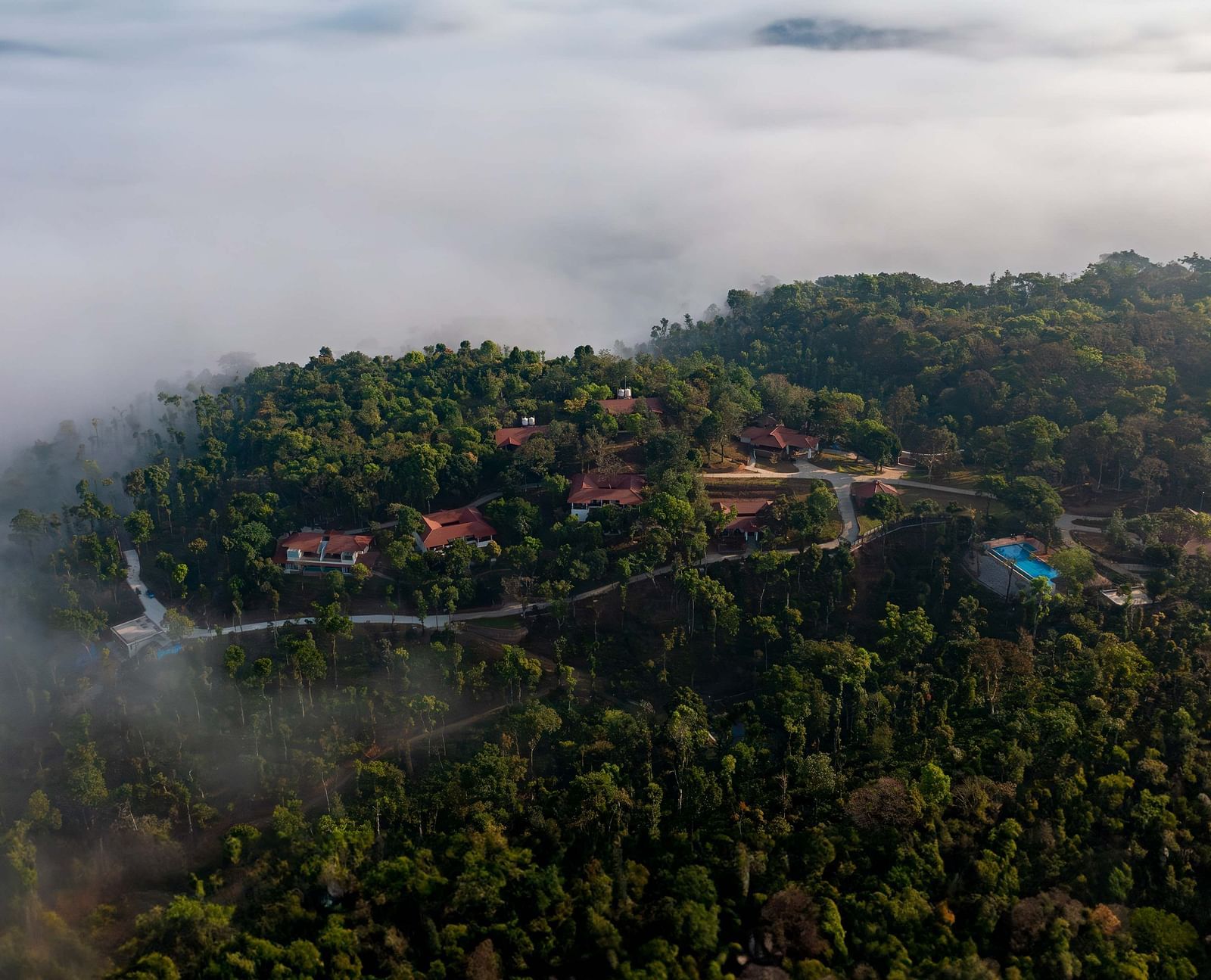 DJI 0481-Enhanced-NR