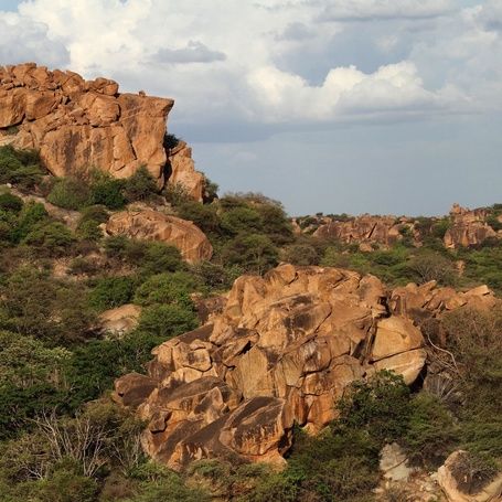 Hampi's rocky landscape with green bushes.