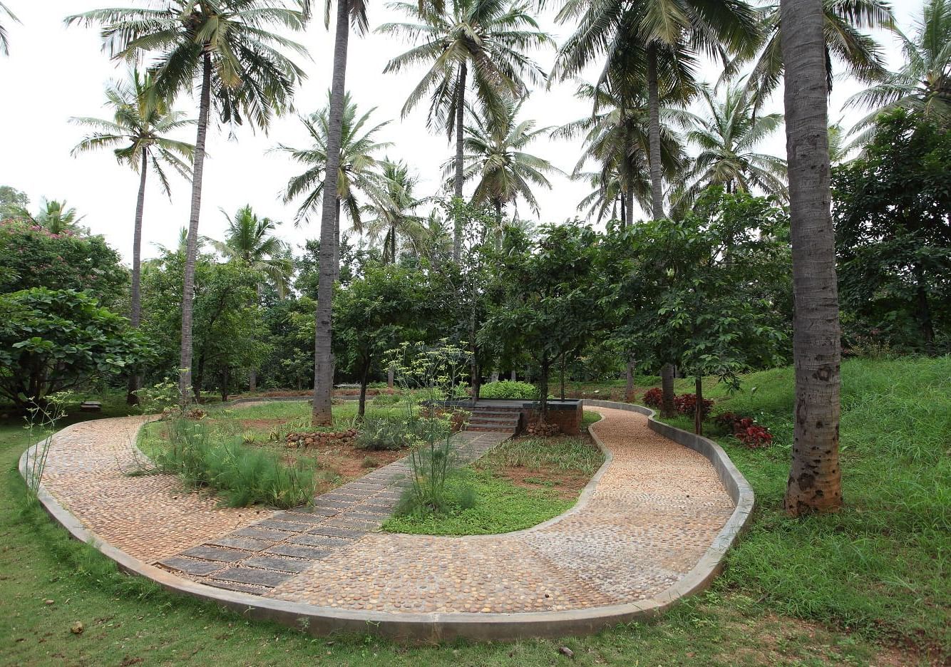 A winding path through a garden with palm trees, outdoor setting - Shreyas Retreat