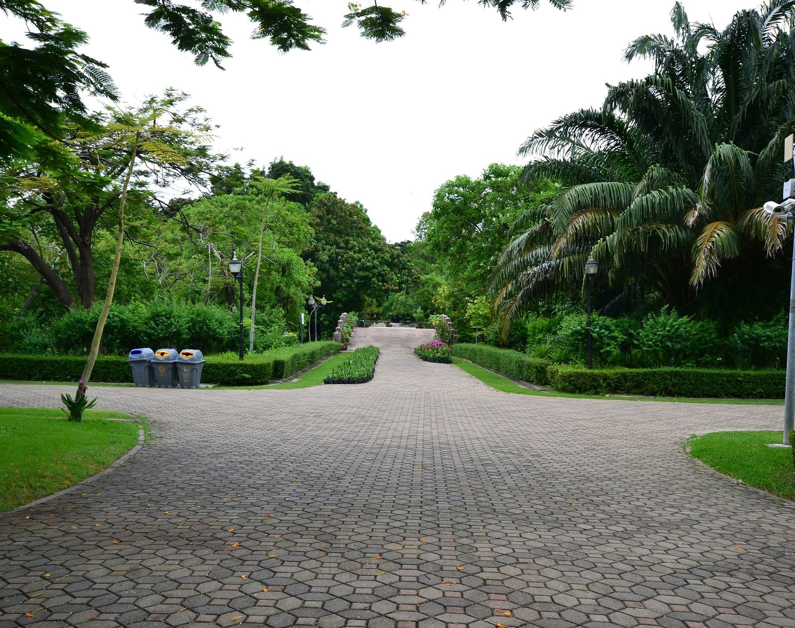 An overview of a botanical garden with a stoned pathway and greenery in view.