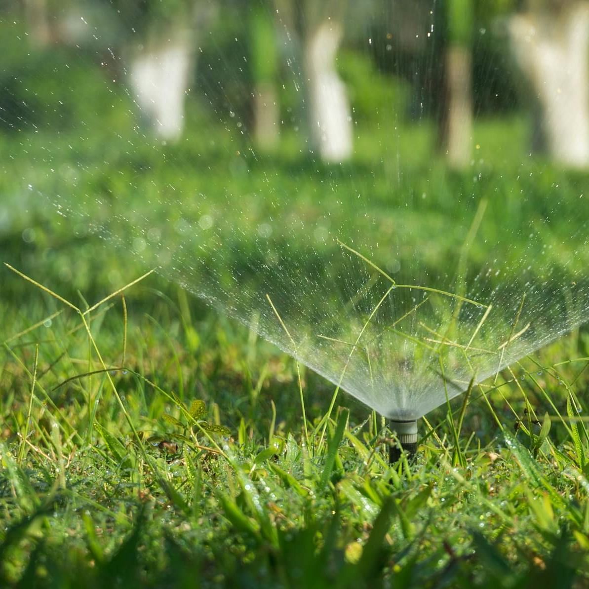 A water sprinkler spraying water and grass around.