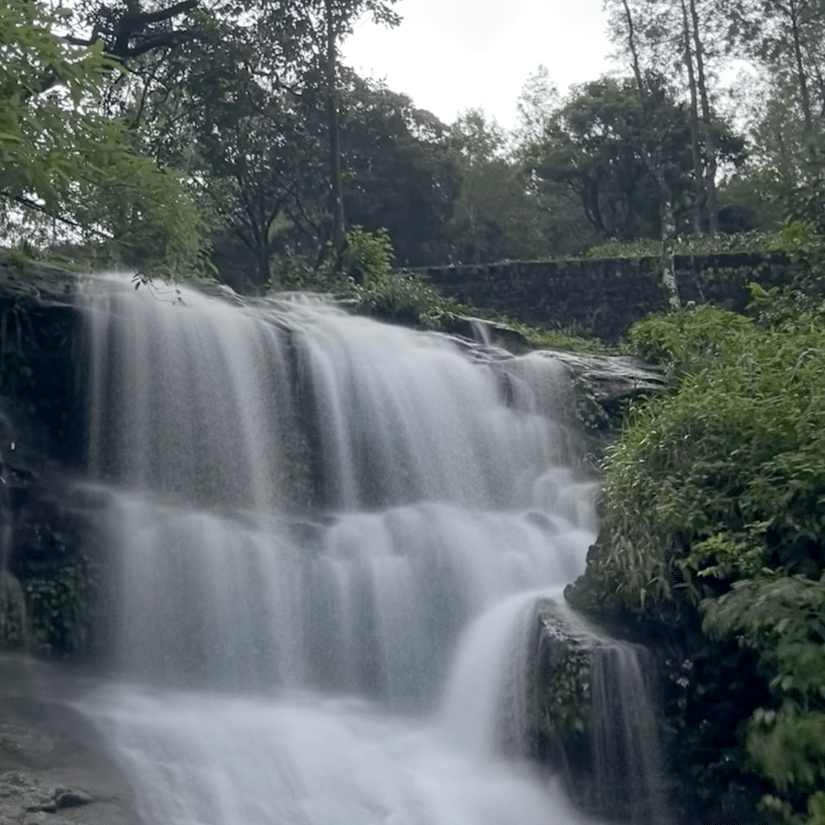 A cascading waterfall in the backdrop of green foliage near Ibex Resorts, A hill road between lush tea plantation near Ibex Resorts, the best resort in Valparai.