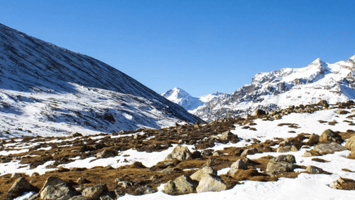 cq5dam.web.1800.600 (1)