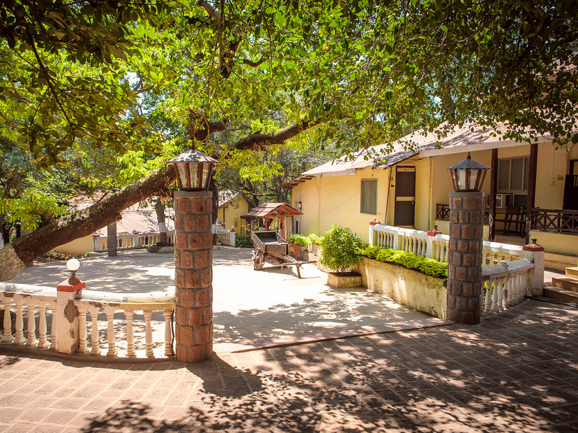 The lawn at the Adamo The Resort with its stone set pathway and pillars with lights on them.