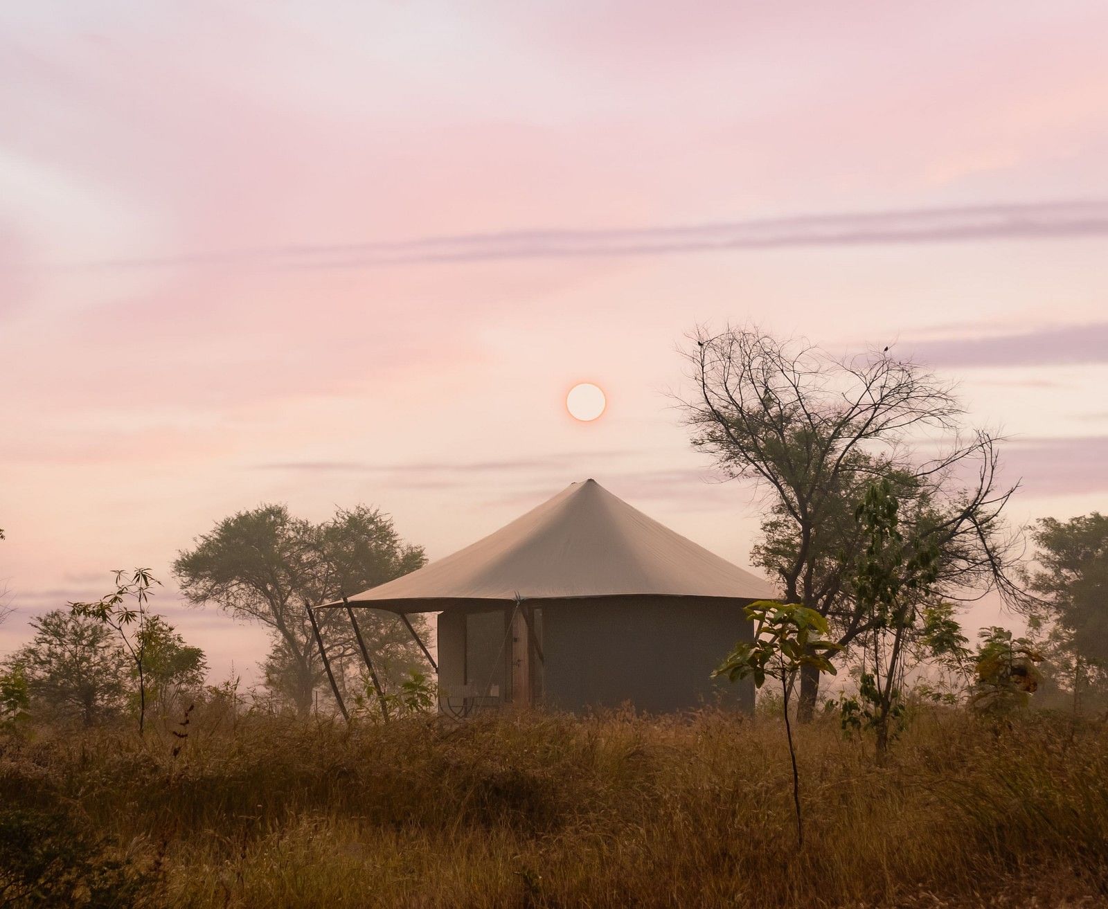 View of a hut during dusk amongst greenery at Trees N Tigers, Tadoba.