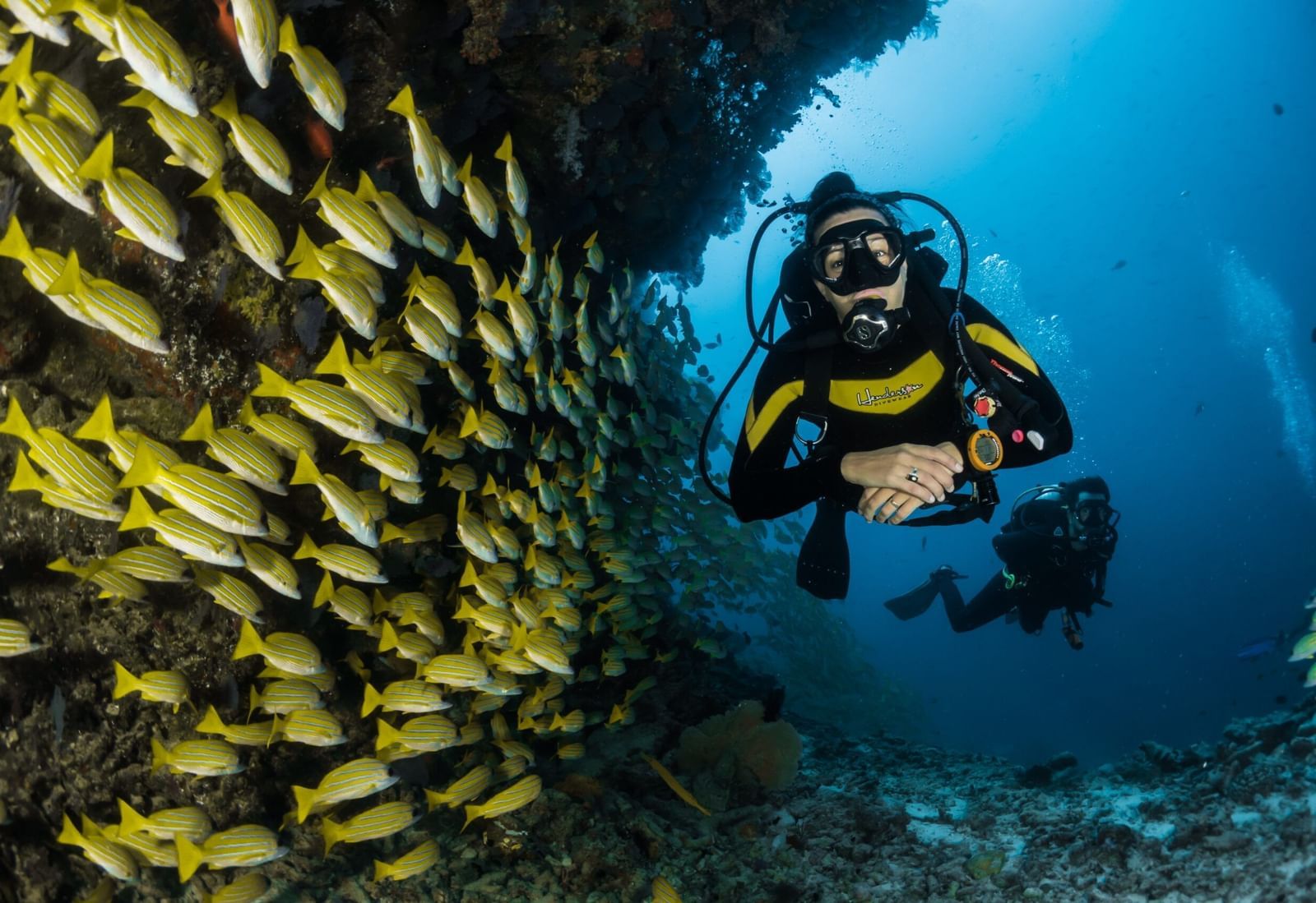 A deep-sea diver well-equipped with an oxygen cylinder swimming beside a school of yellow fishes.