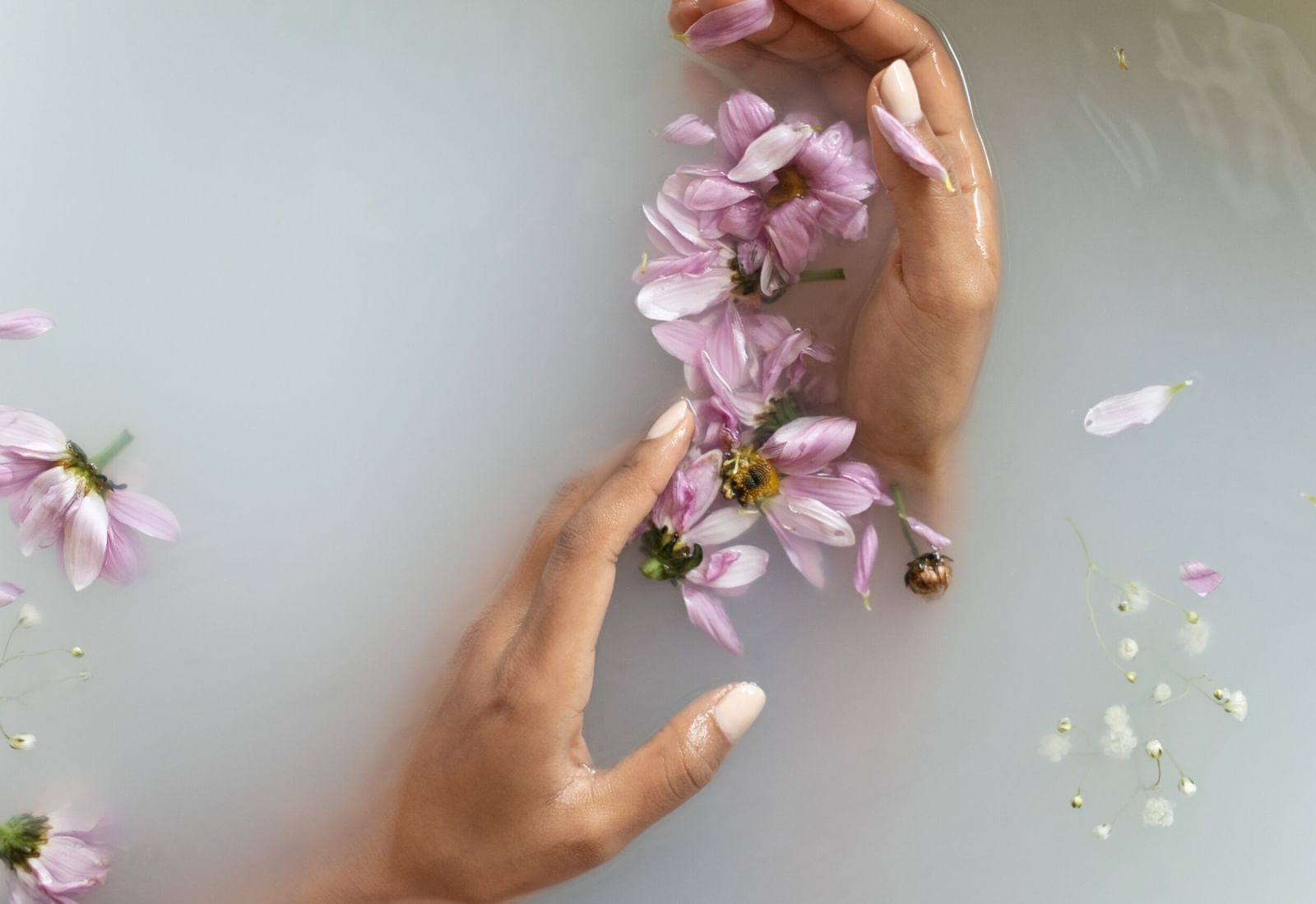 Close-up shot of the palms of a person gently brushing against the pink flower petals in white translucent water.