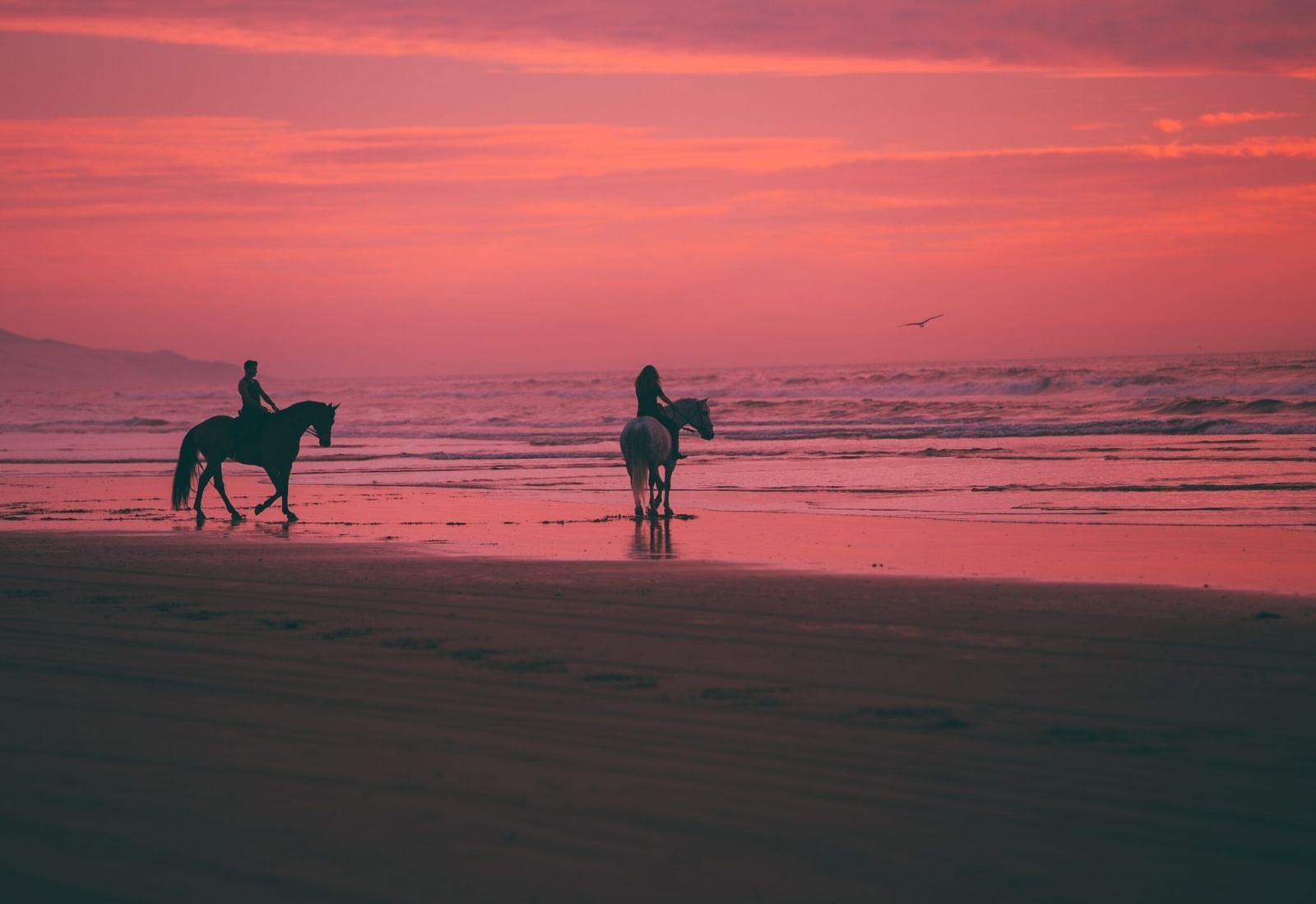 2 horseback riders on a beach during the sunset, with the sky and water reflecting vibrant hues of pink and orange.