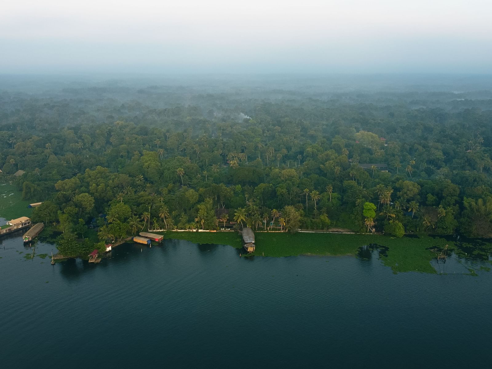 An aerial shot of the resort surrounded by lush greenery and the Vembanad Lake in front - BluSalzz Villas - Muhamma Resort, Alleppey