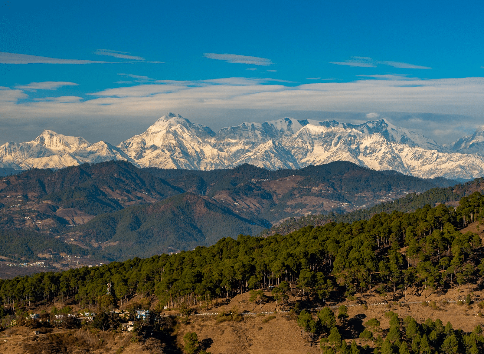 Scenic snowy Himalayan peaks visible over pine-covered hills and a clear blue sky.