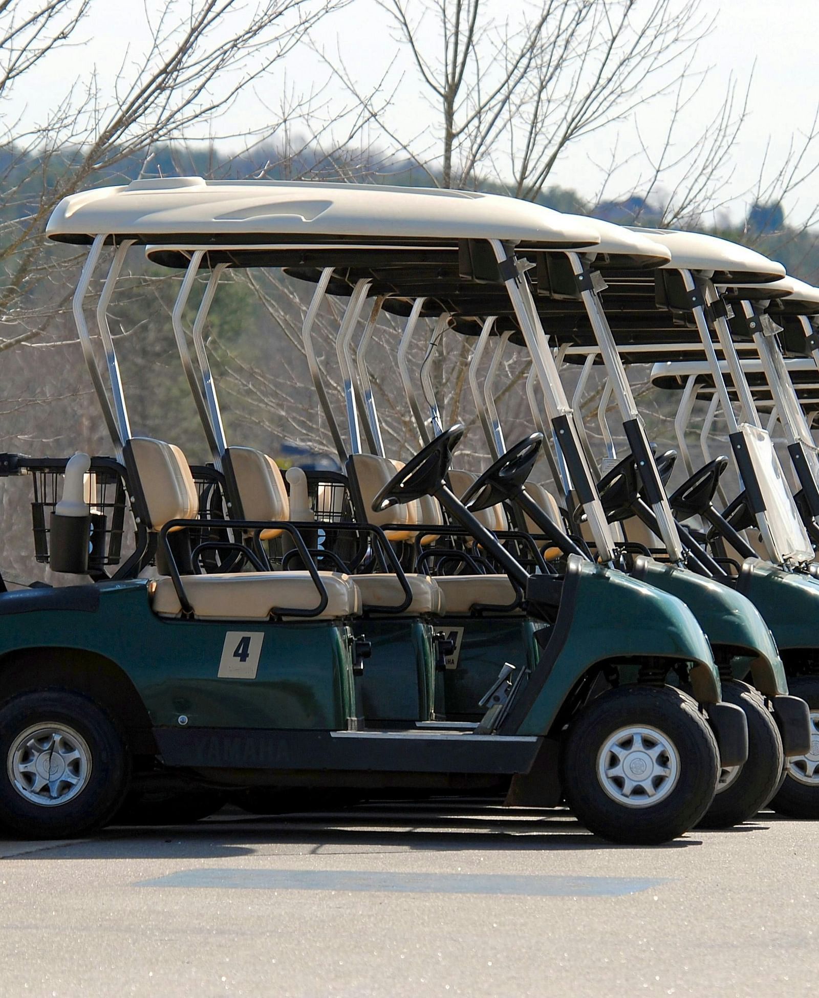 Row of golf carts parked outdoors with barren trees in the background.