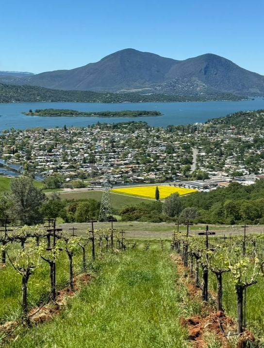 A picturesque view of the hills, a large lake, and a grass lawn located near Tallman Hotel.