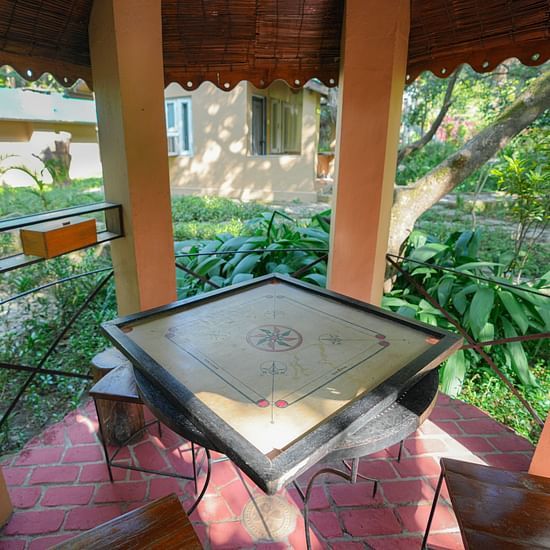 A carrom board with a metal structure inside, surrounded by trees and foliage.
