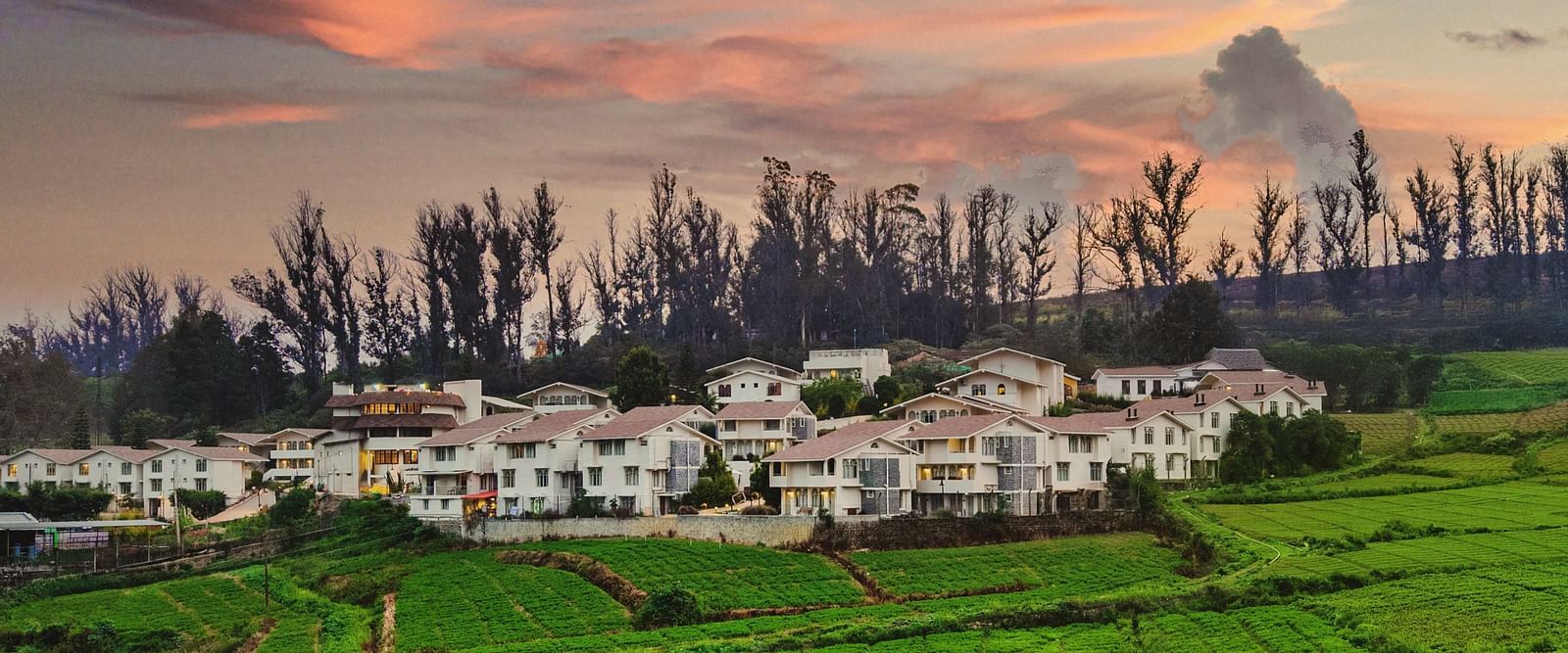 Aerial view of Mango Hill Shola, Ooty, nestled among tea plantations and hills, with the resort blending into the natural landscape.