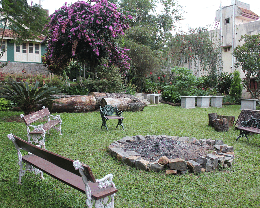 View of Campfire Area