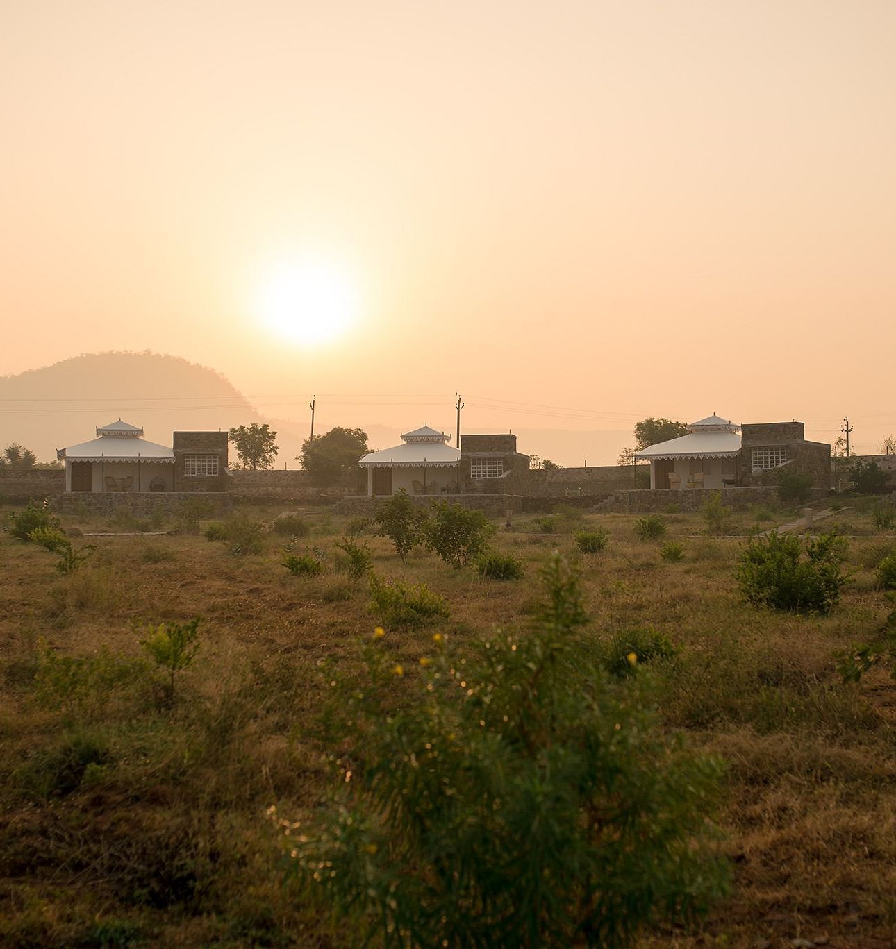  A facade image of a green land with the backdrop of sunset