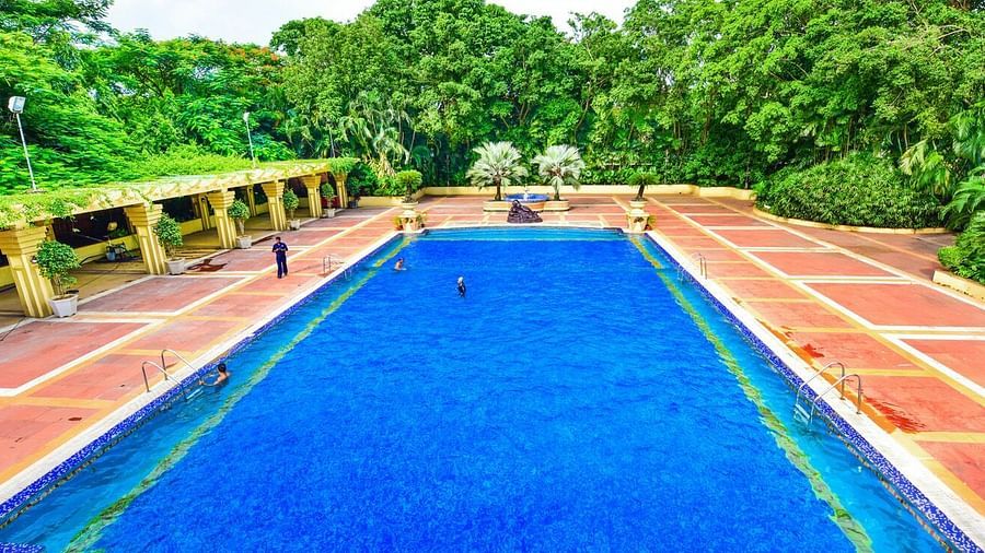 Front view of the swimming pool, showcasing the tiled sides and surrounded by plants and trees.