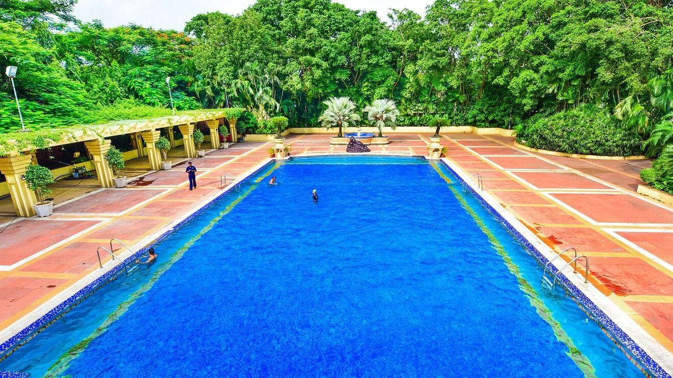 Front view of the swimming pool, showcasing the tiled sides and surrounded by plants and trees.