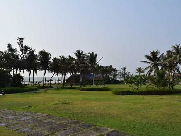 A beautiful garden view with coconut trees and clear blue sky in the background.