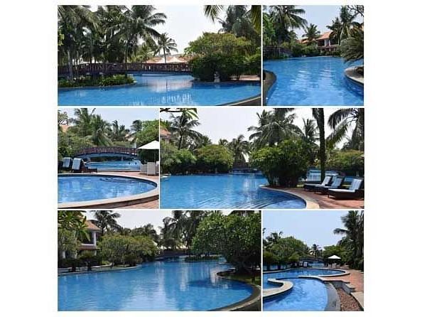 A collage of different views of swimming pool showcasing the trees and surrondings.