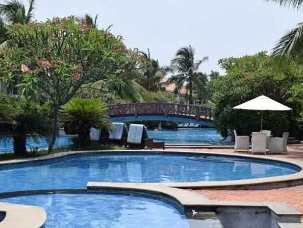 A view of a swimming pool with different chairs and a lot of trees in the background.