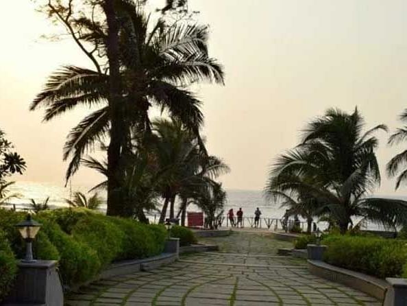 A path leading to the ocean surrounded by bushes and coconut trees.
