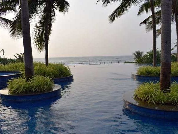 A beautiful scenic view from the swimming pool with coocnut trees and ocean in the background.