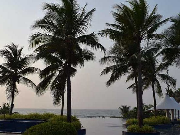 A beautiful scenic view from the swimming pool with coocnut trees and ocean in the background.