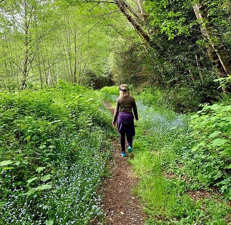 A person walking on a path covered with green bushes on either sides, along with trees
