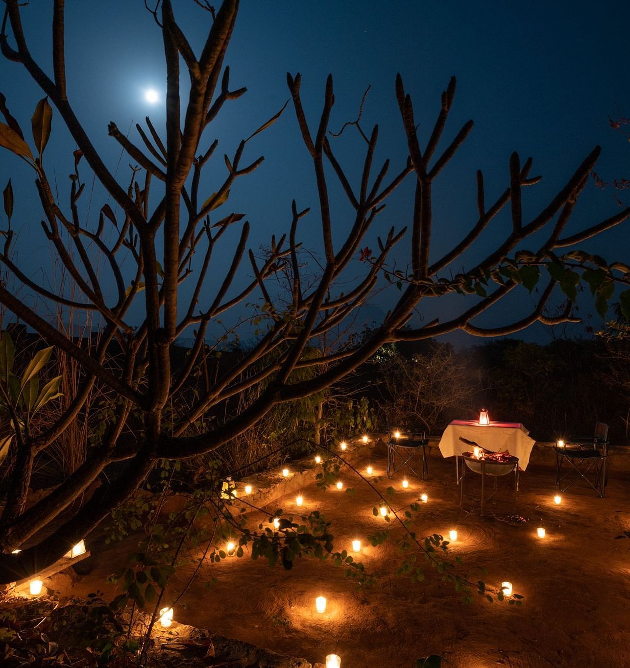 An image of an outdoor dining arrangement with bright lighting and greenery around - Utsav Camp Sariska