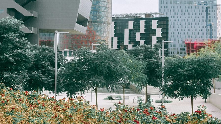 A facade image of the industrial area with building and trees.