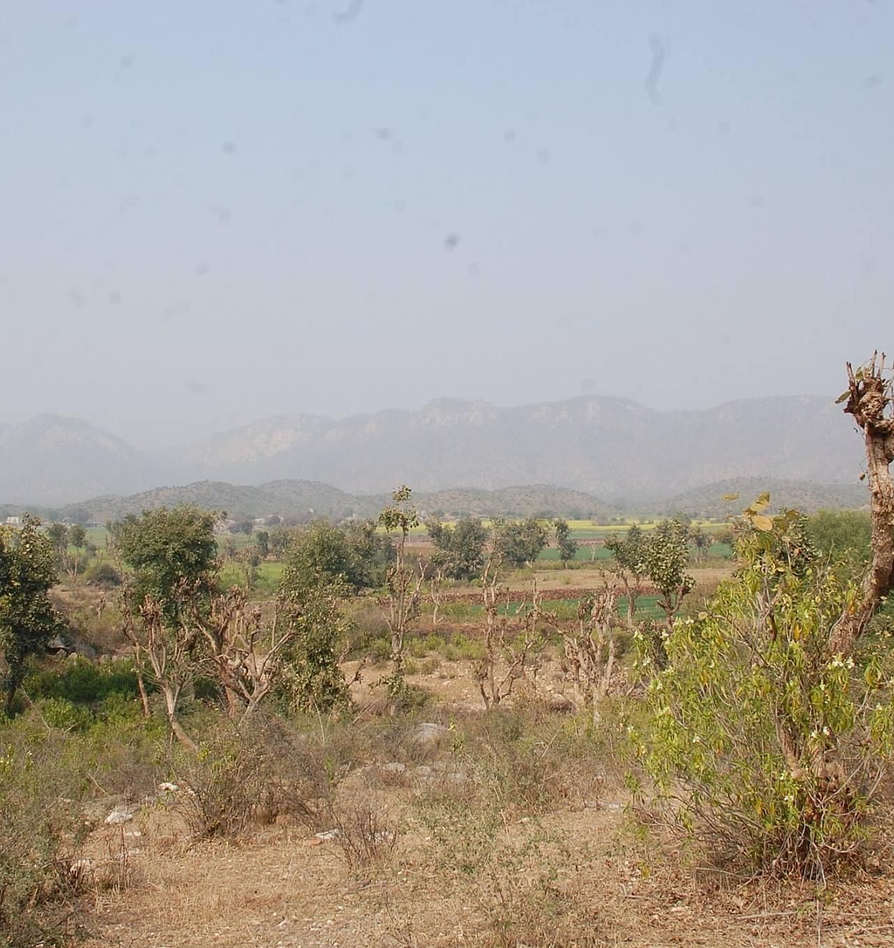 An image of an arid land - Utsav Camp Sariska