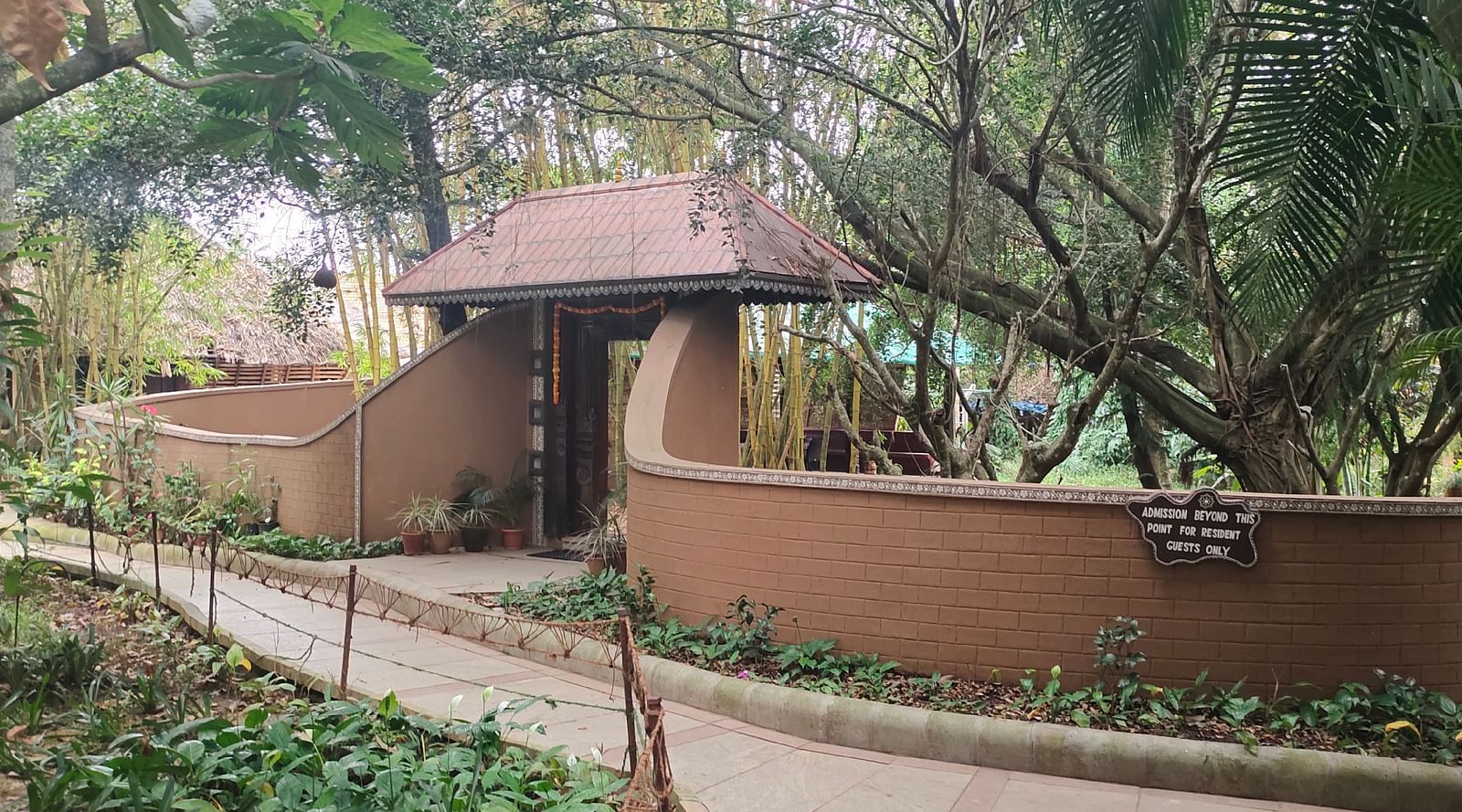 image of athe enchanted ficus entrance made with a very traditional feeling for a perfect out door meeting experience