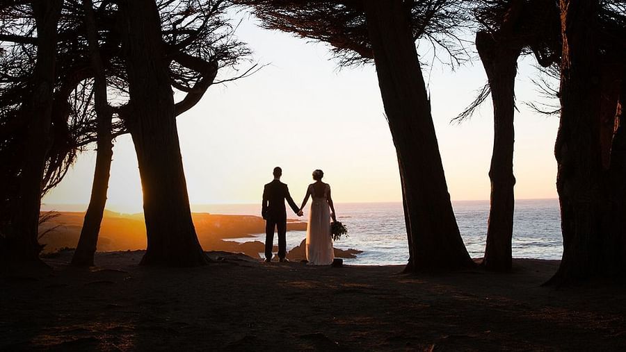 Silhouetted couple standing between wind-swept trees at sunset