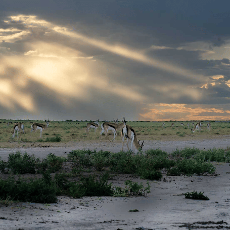 SUNRISE AT THE PAN
