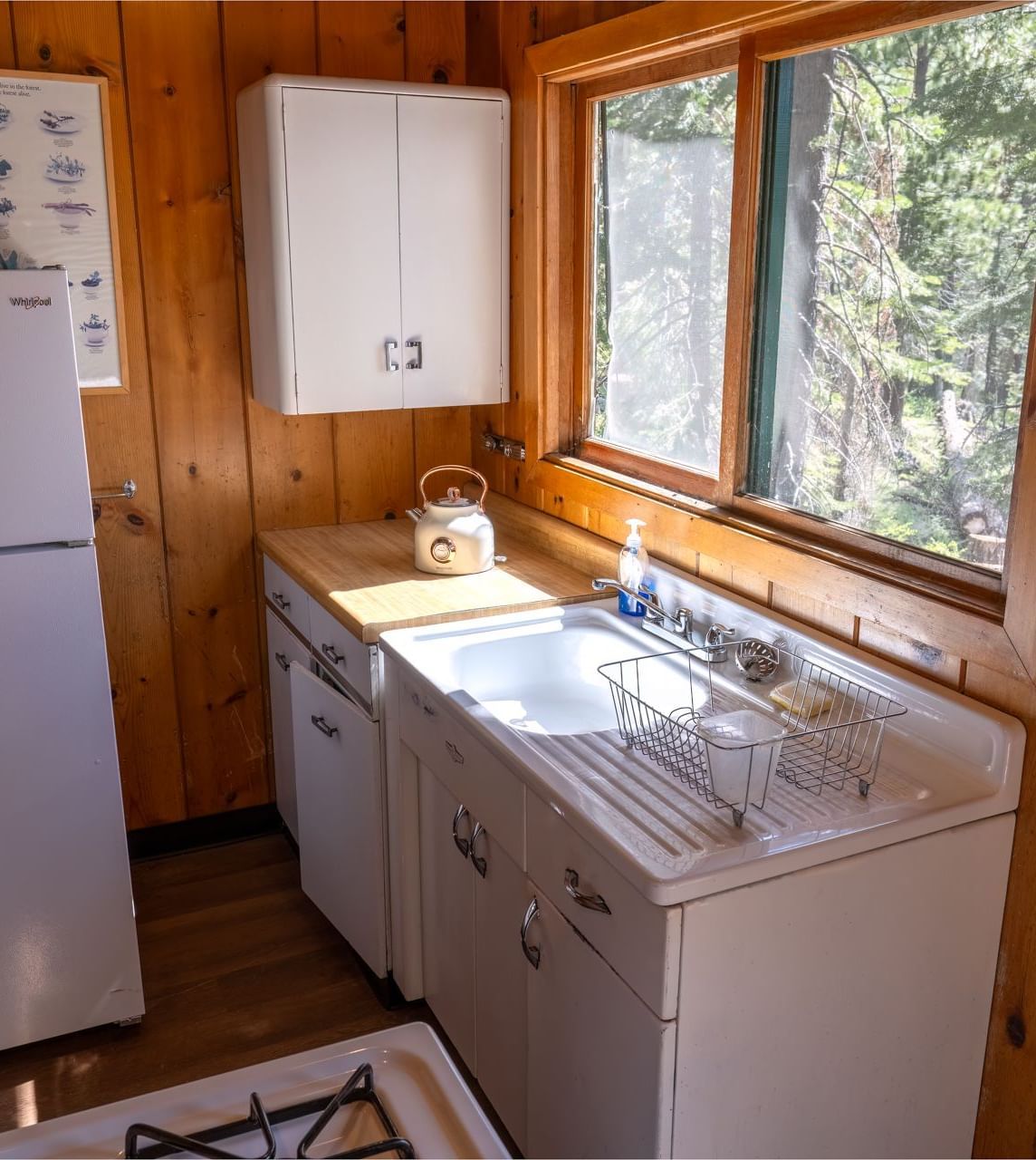 Bright cabin kitchen with refrigerator and forest views at Kit Carson Lodge.