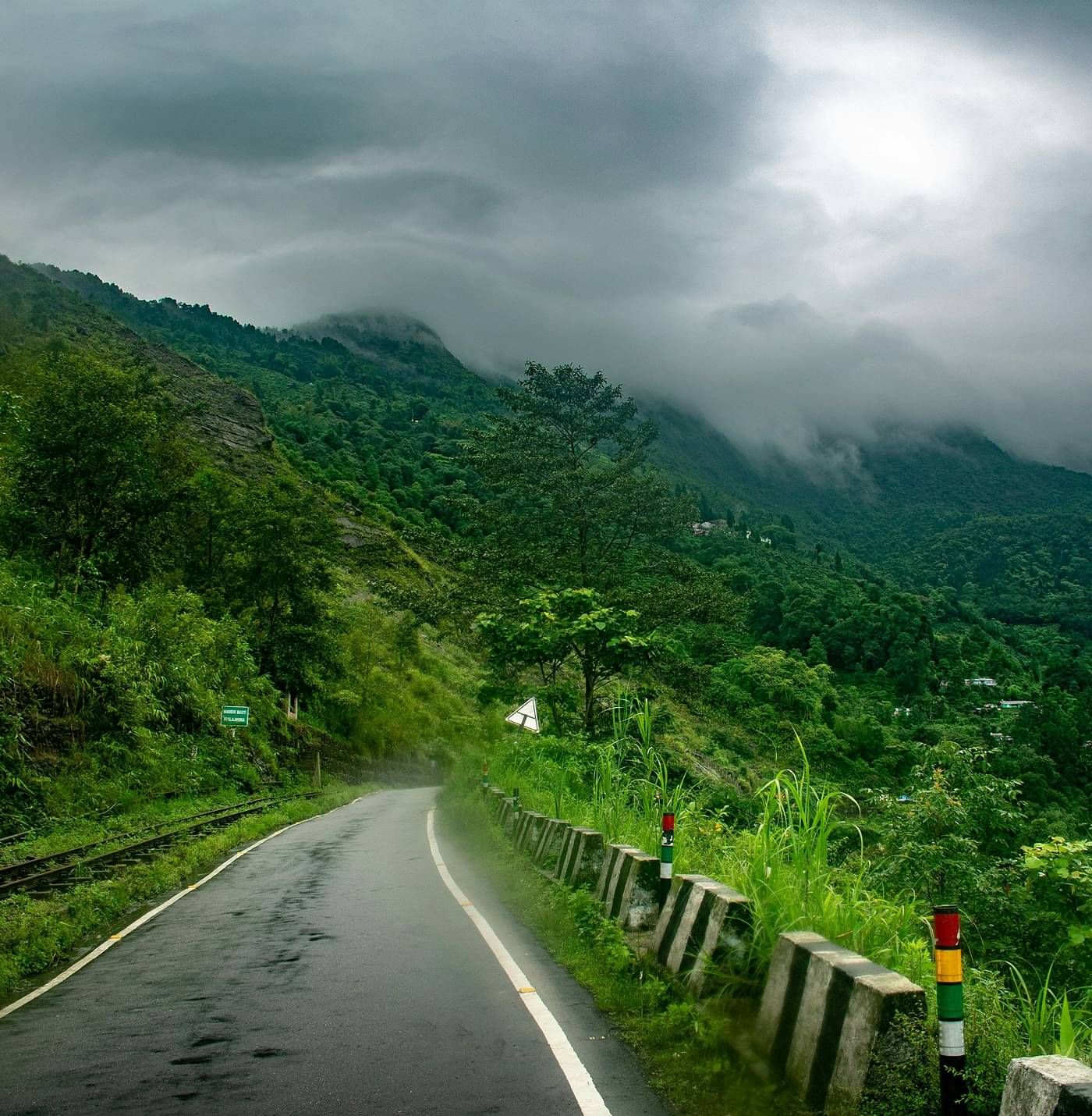 image of a one way road going through a lush green forest
