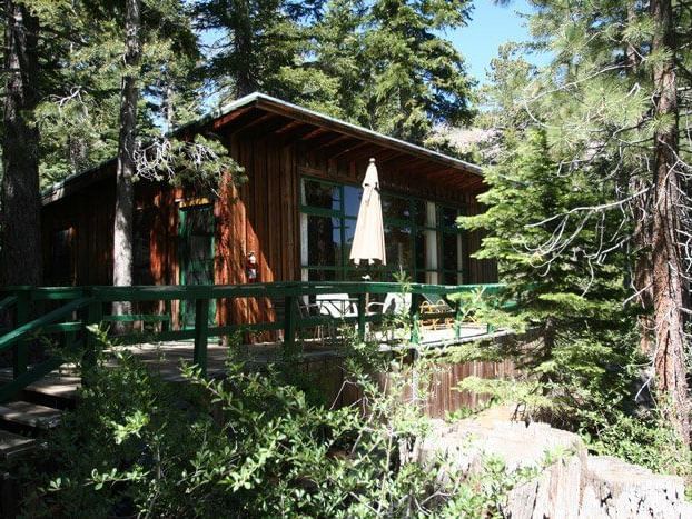 A charming cabin with a steep roof and multiple windows is situated on a hillside amidst a lush forest | Cinnamon Bear