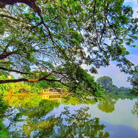 An overview of Jagannath Bari in Agartala with a tree in the foreground