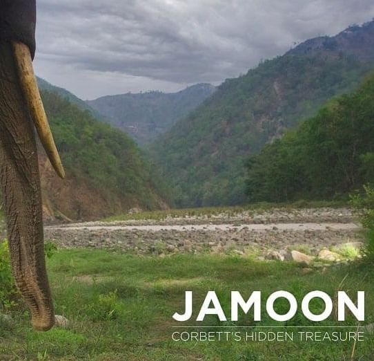 A side angle image of an elephant with the mountains and river background with a text JAMOON.