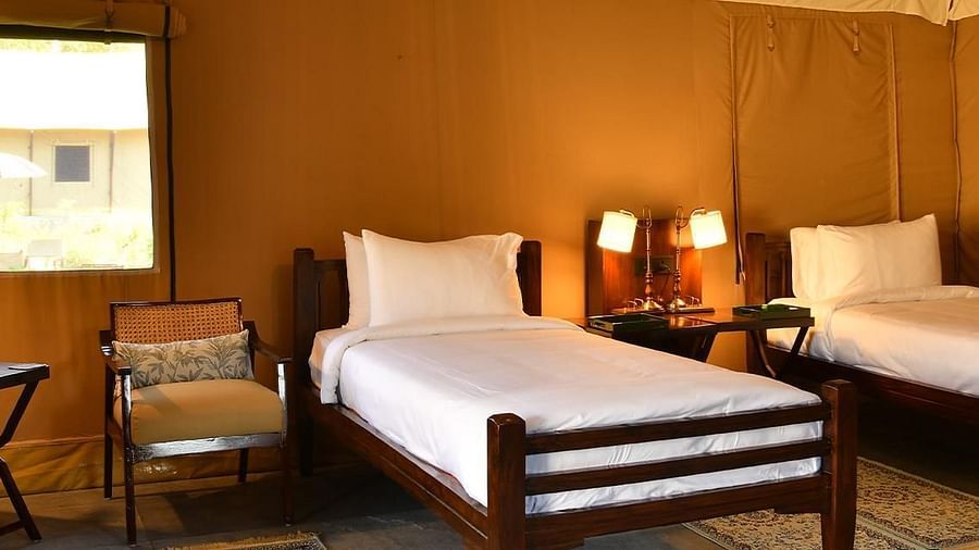 luxury twin tents with lamps on both the sides - Aalia Jungle Resort & Spa