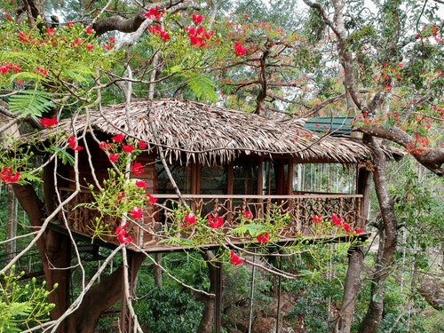 Photo 16-05-24, 9 48 01?AM