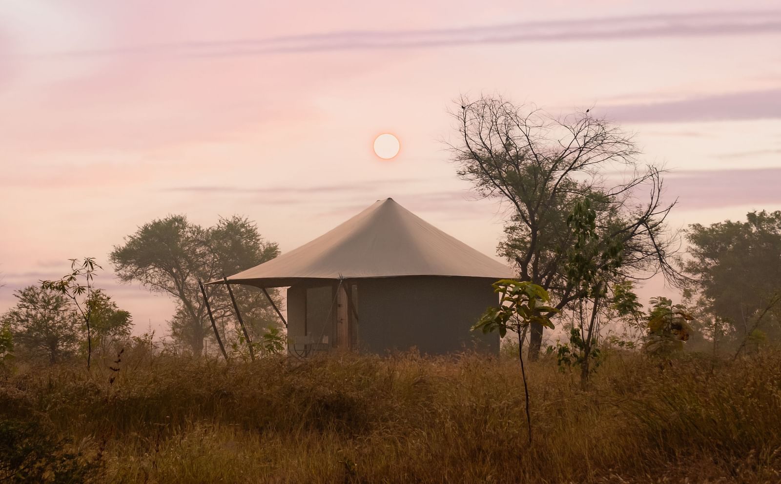 View of a hut during dusk amongst greenery at Trees N Tigers, Tadoba.