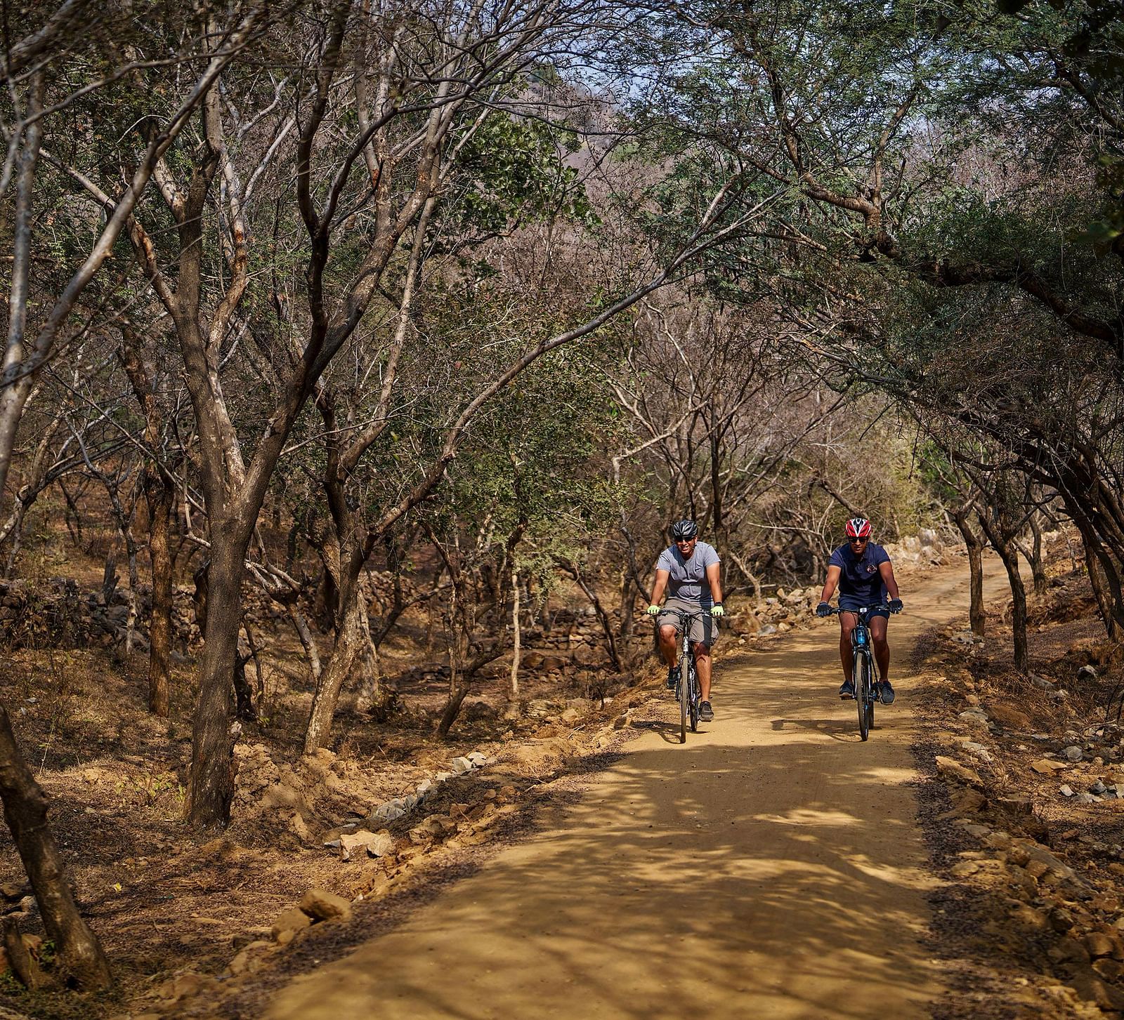 image of two people cycling through a dry forest at dev shree, deogarh