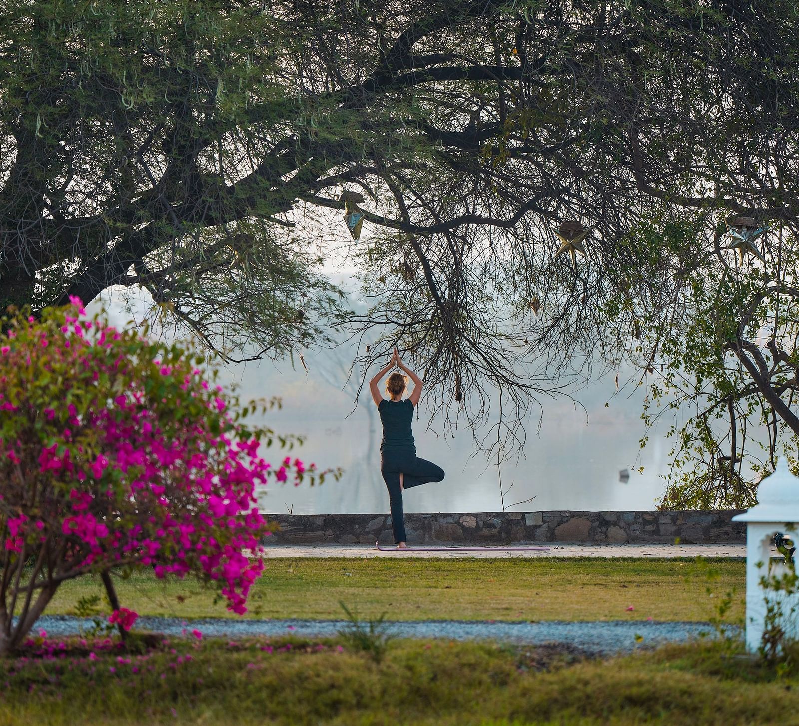 image of a person performing yoga asanas in a tranquil garden with dense canopy around and foggy background at dev shree, deogarh