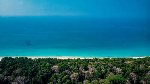 a far out view of Radhanagar beach surrounded by lush greenery - Barefoot by Havelock.