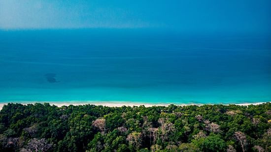 a far out view of Radhanagar beach surrounded by lush greenery - Barefoot by Havelock.