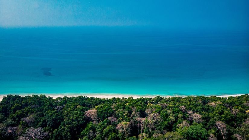 Radhanagr beach surrounded by lush greenery 